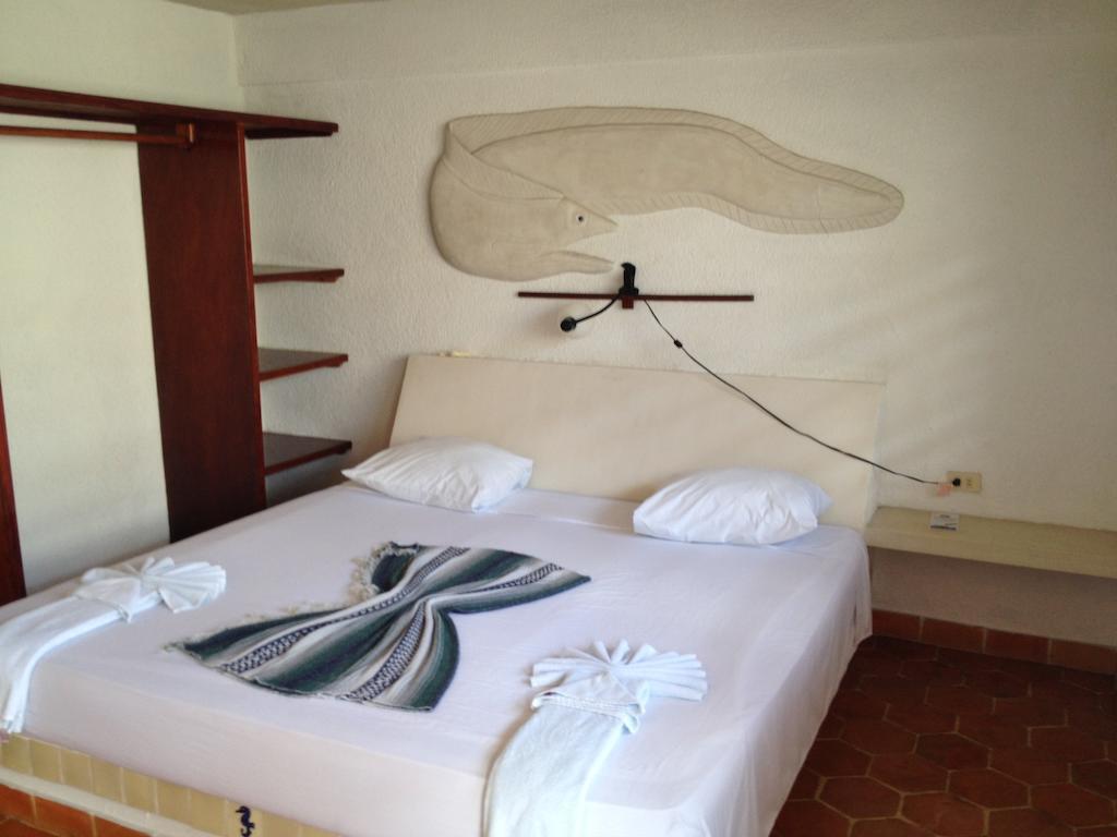 Safari Inn Cozumel Quarto foto