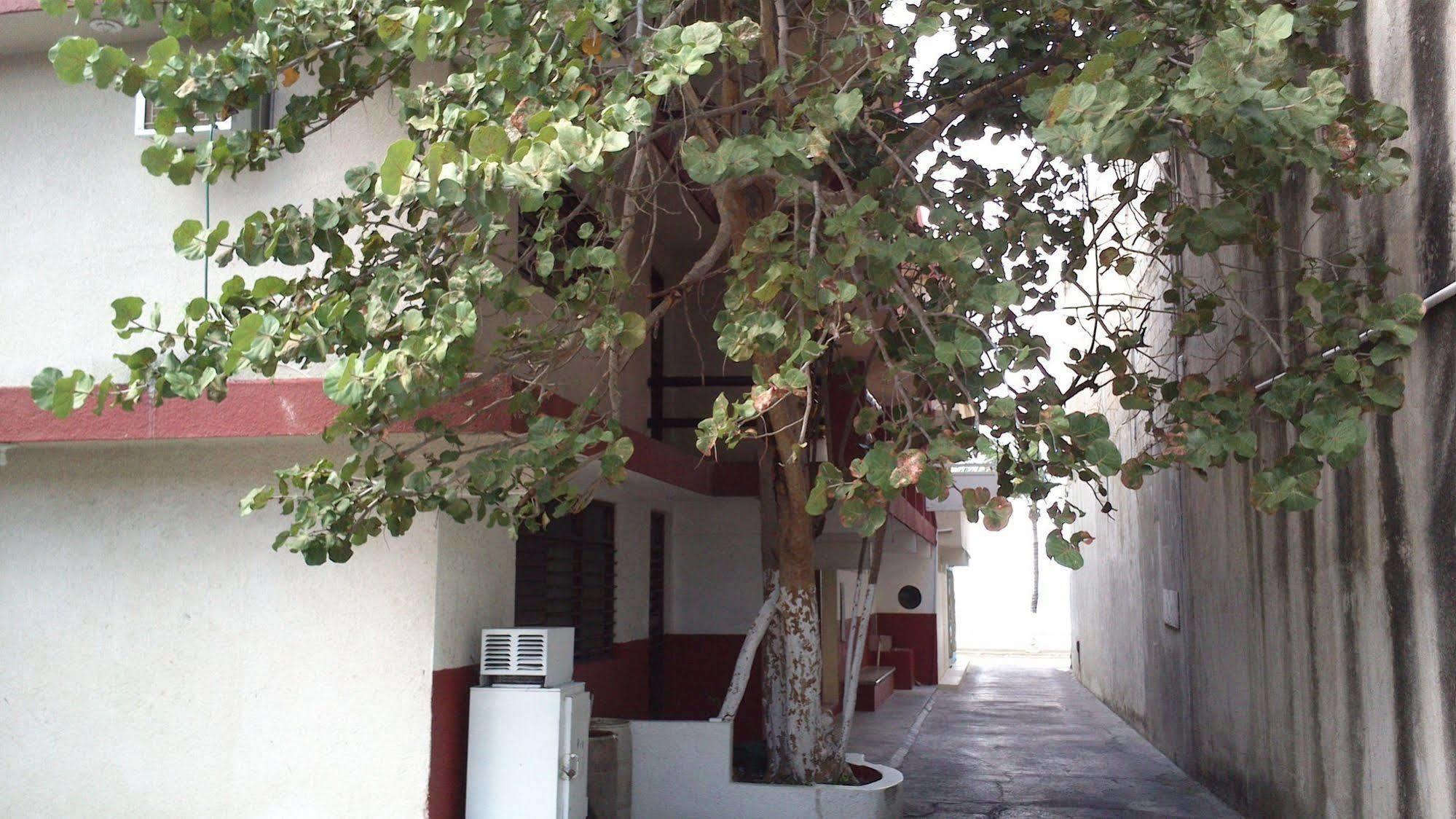 Safari Inn Cozumel Exterior foto