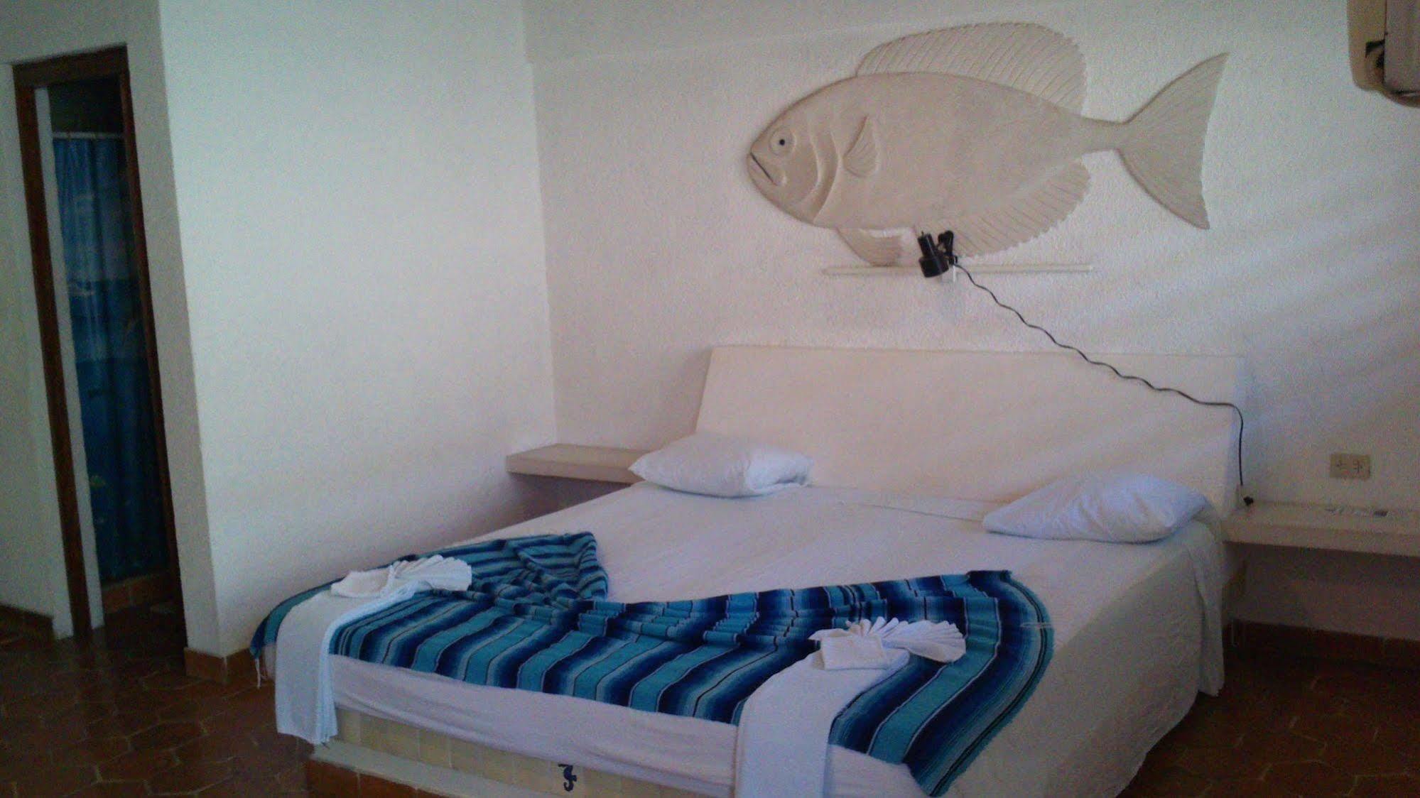 Safari Inn Cozumel Exterior foto