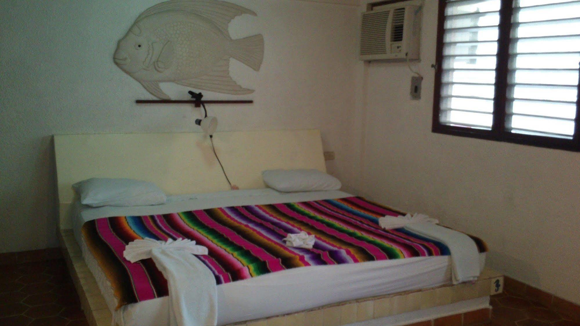 Safari Inn Cozumel Exterior foto